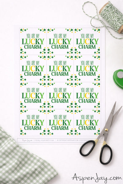 Editable You Are My Lucky Charm St. Patrick’s Day Gift Tags