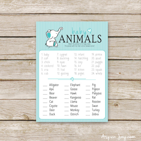 Turquoise Elephant Baby Animal Names