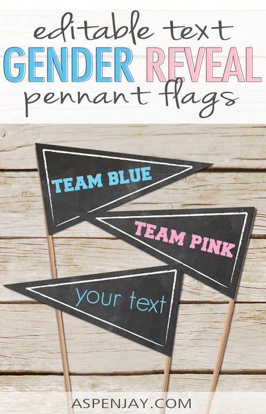 Editable Gender Reveal Pennant Flags