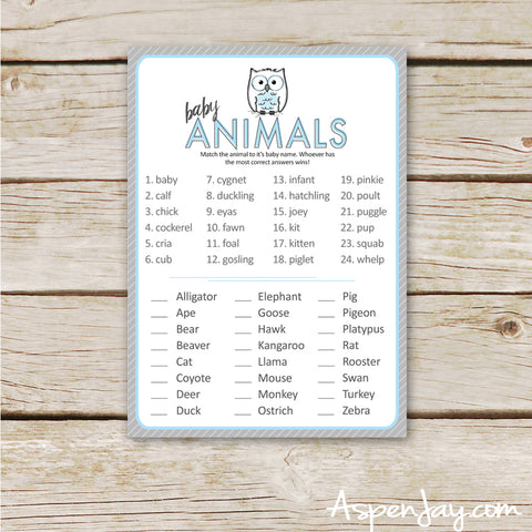 Blue Owl Baby Animal Names