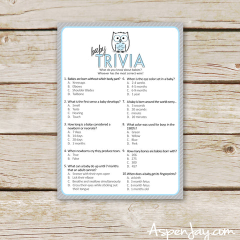 Blue Owl Baby Trivia